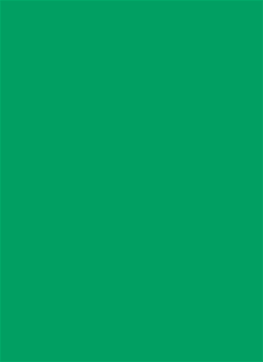 1.35m x 11m Background Paper Chromagreen 54