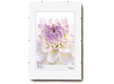 Clip Frame 40x60 Clear glass  5 