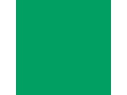 1.35m x 11m Background Paper Chromagreen 54