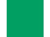 1.35m x 11m Background Paper Chromagreen 54