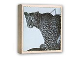 Wild Life Slip-in 100 photos 11x16cm  12pcs 