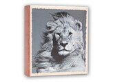 Wild Life Slip-in 100 photos 11x16cm  12pcs 