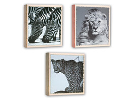 Wild Life Slip-in 100 photos 11x16cm  12pcs 