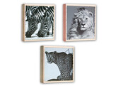 Wild Life Slip-in 100 photos 11x16cm  12pcs 