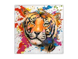 Tiger white 80x80x7