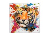 Tiger white 80x80x7