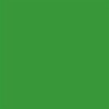 Paper Background 2 72x11m Tech Green 46