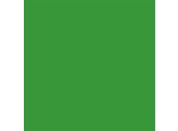 Paper Background 2 72x11m Tech Green 46