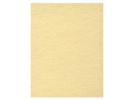 2.72m x 11m Background Paper Champagne 65