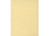 2.72m x 11m Background Paper Champagne 65