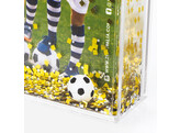 Shake Frame football  6pcs 